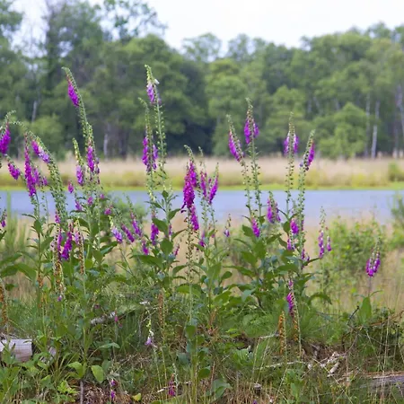 Alojamento de Acomodação e Pequeno-almoço De Stippelberg Rips