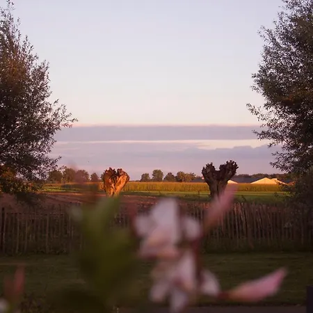 De Stippelberg Bed & Breakfast
