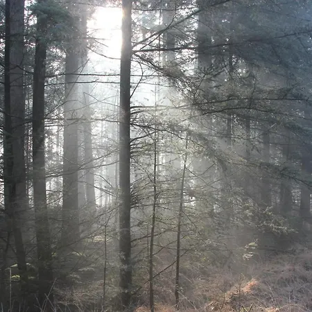 Alojamento de Acomodação e Pequeno-almoço De Stippelberg Rips