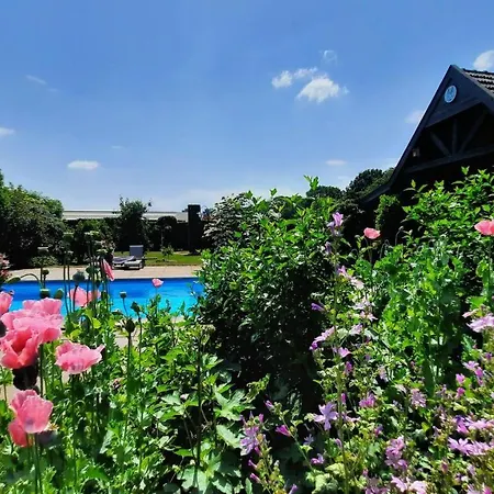 B&B De Stippelberg