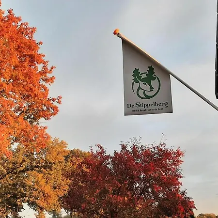 Alojamento de Acomodação e Pequeno-almoço De Stippelberg