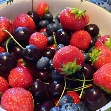 Alojamento de Acomodação e Pequeno-almoço De Stippelberg 3*