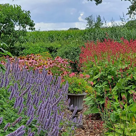 De Stippelberg B&B