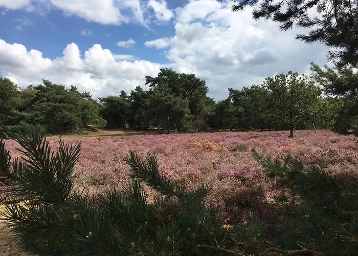 De Stippelberg 3* Rips