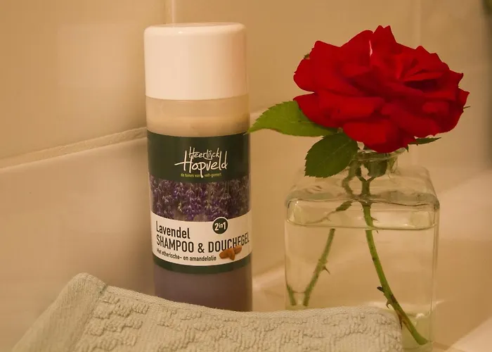 De Stippelberg B&B Rips