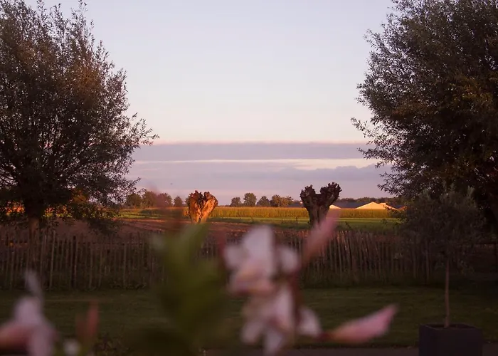 De Stippelberg Bed & Breakfast