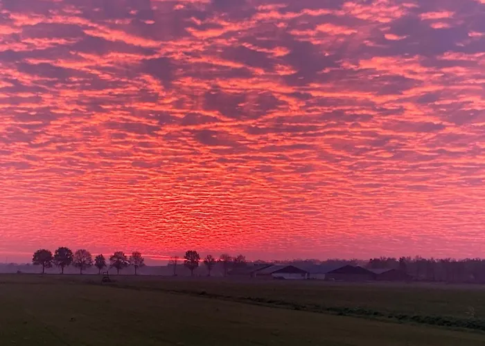 De Stippelberg 3* Rips