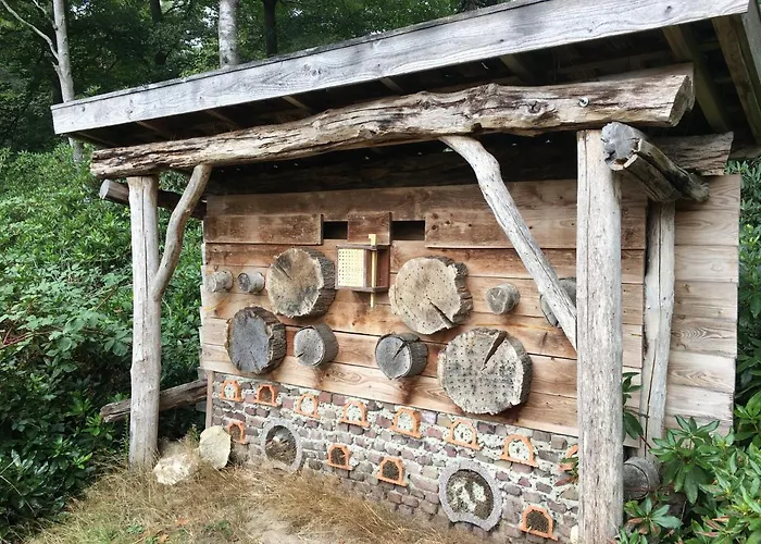 De Stippelberg 3* Rips