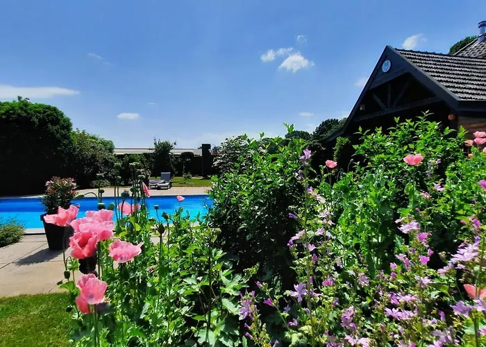 Bed & Breakfast De Stippelberg