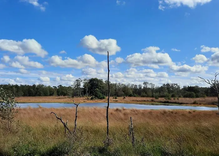 De Stippelberg B&B Rips