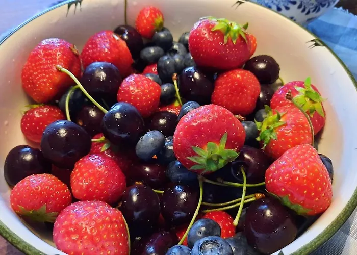 B&B De Stippelberg 3*