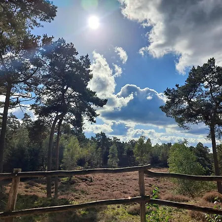 فندق مبيت وإفطار De Stippelberg 3*