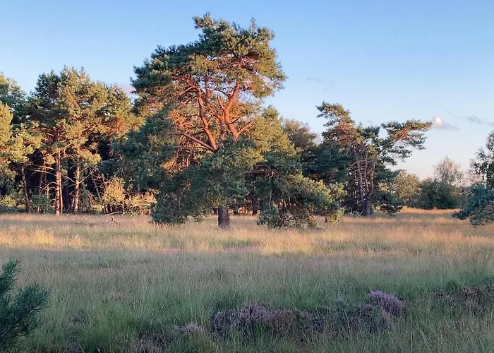 De Stippelberg 3* Rips