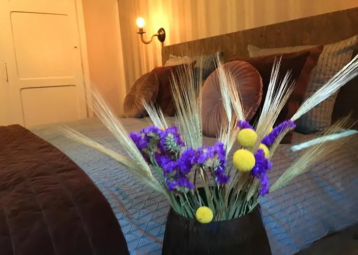 فندق مبيت وإفطار De Stippelberg