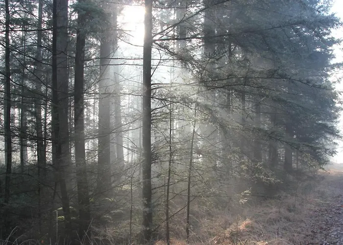 ベッド・アンド・ブレックファスト De Stippelberg Rips