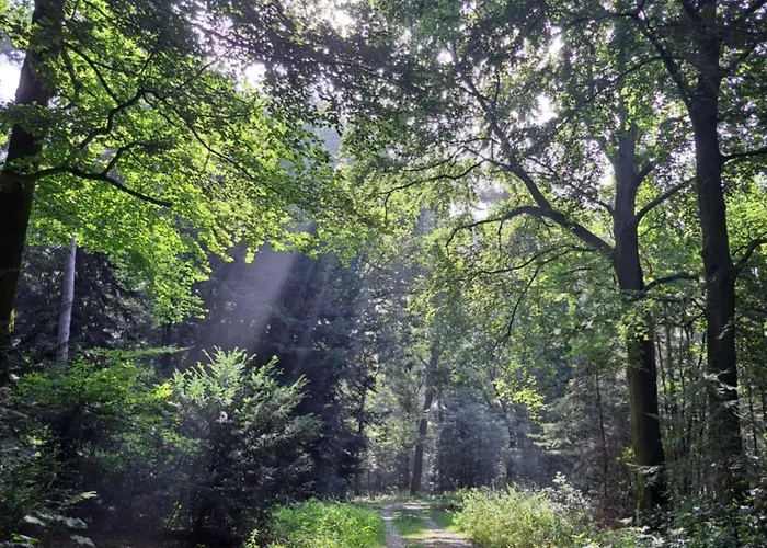 De Stippelberg فندق مبيت وإفطار Rips