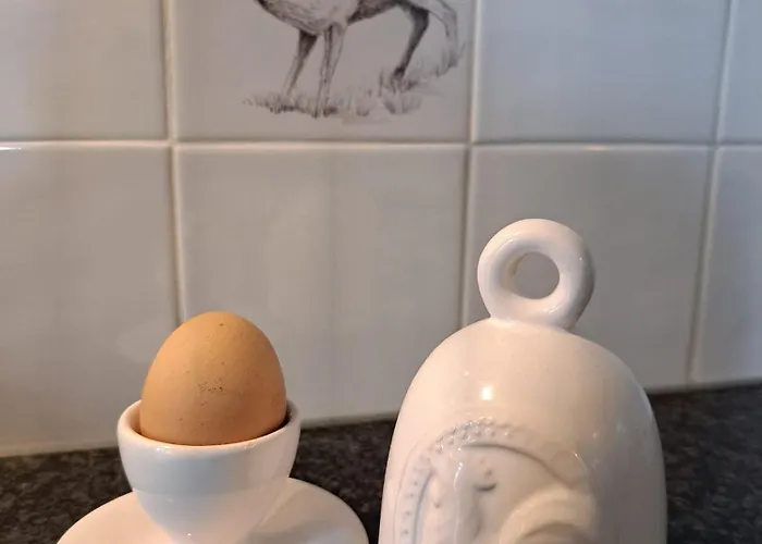 De Stippelberg فندق مبيت وإفطار 3*