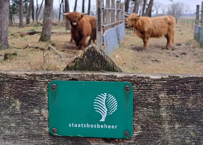 فندق مبيت وإفطار De Stippelberg Rips